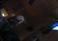 Asta, 19 år - single i Nyråd